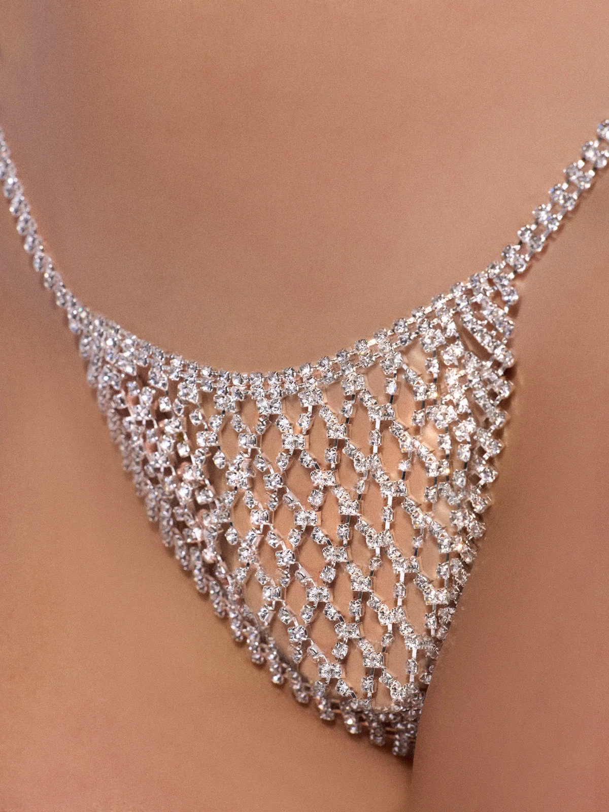 Ziggy Rhinestone Net Panty in Silver