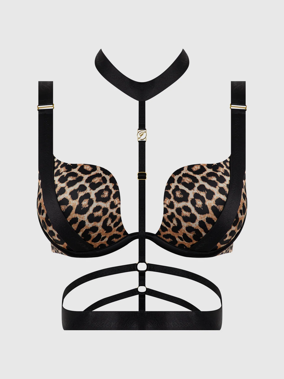 Rising Star Plunge Push Up Bustier in Petra Liquid Satin