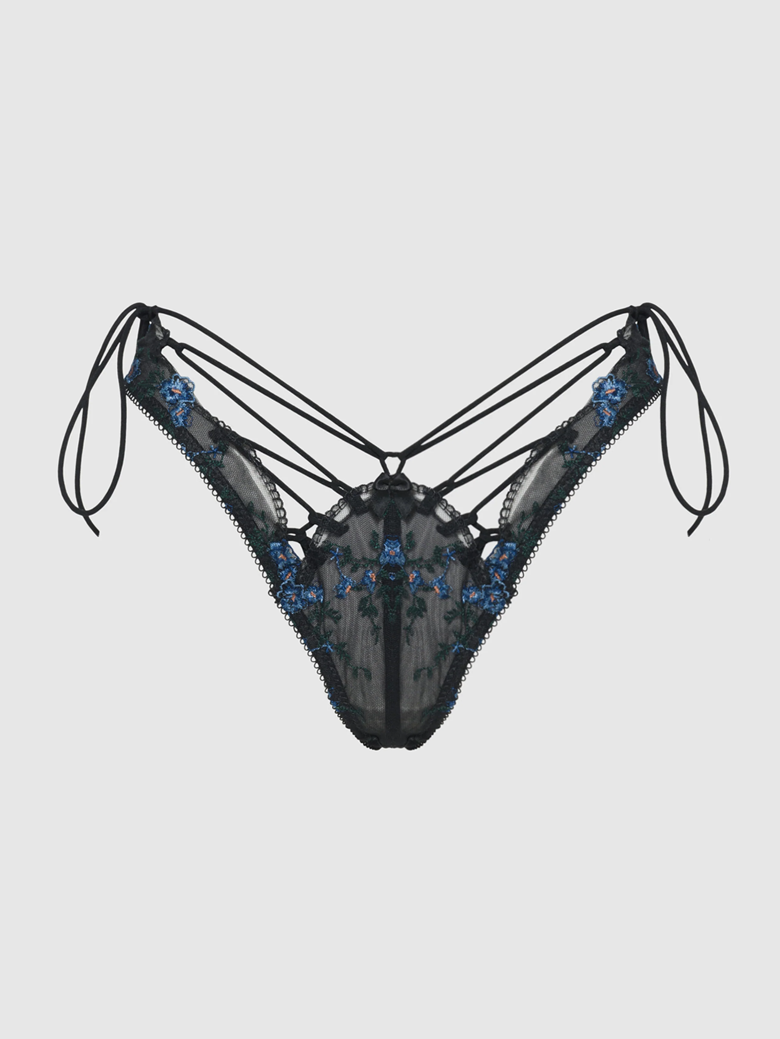Harlow Embroidered Mesh Hipster Panty in Black