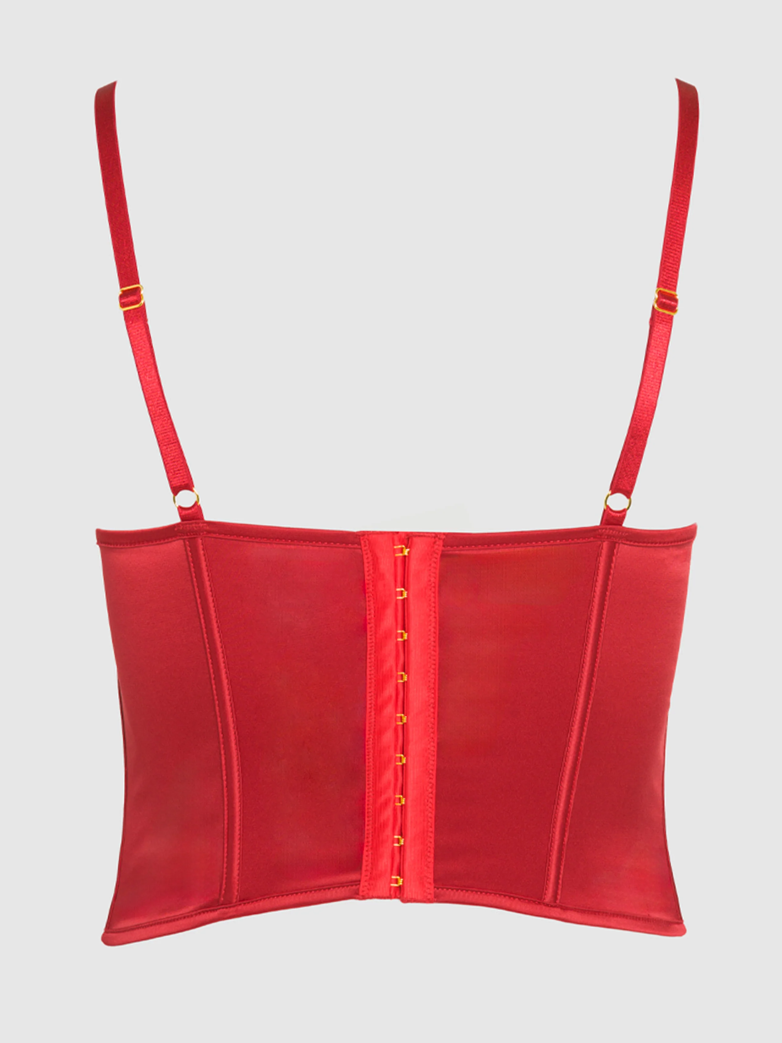 Petra Swirl Plunge Push Up Bustier in Crimson Red