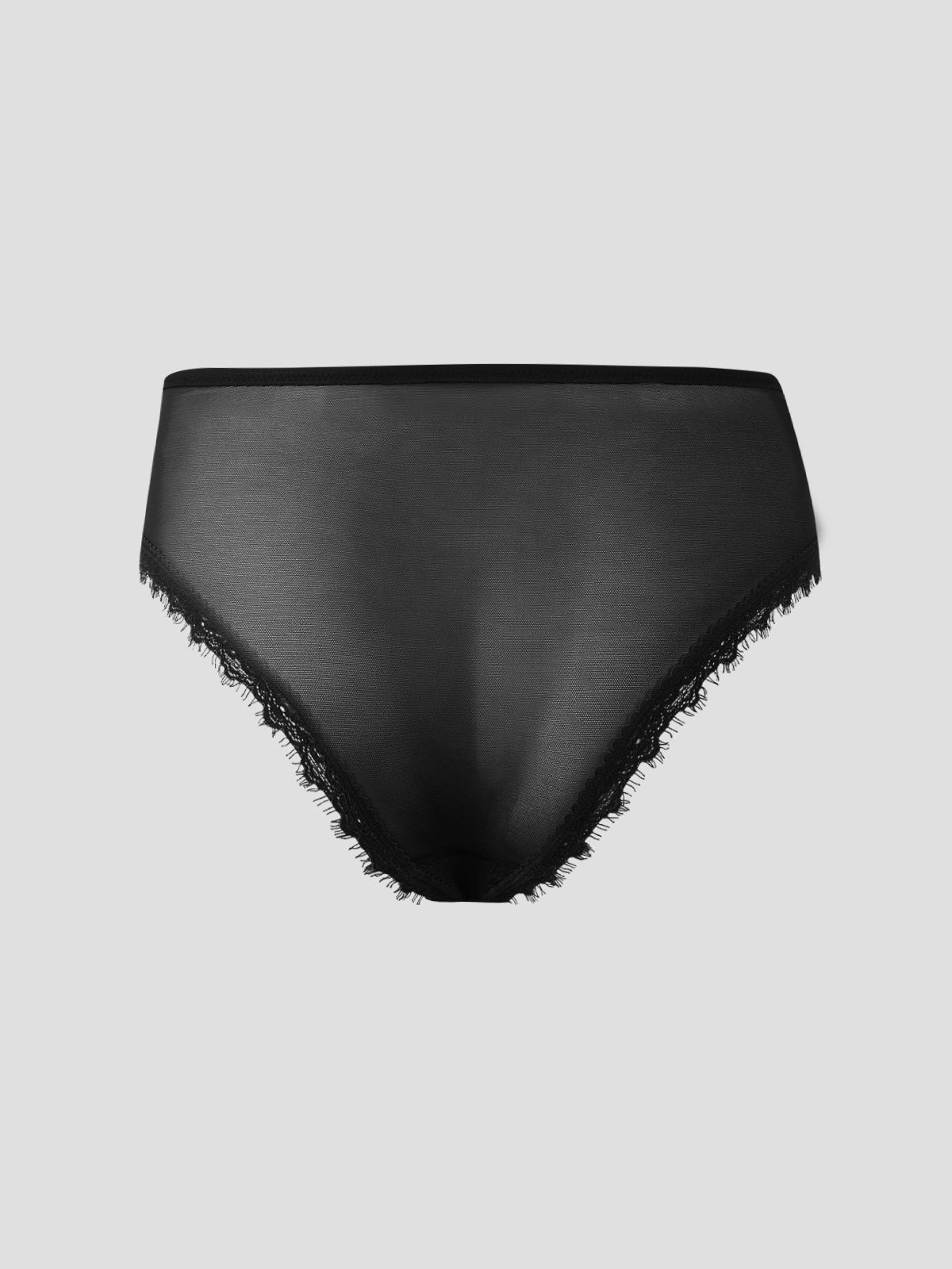 Charlotte Lace & Mesh Hipster