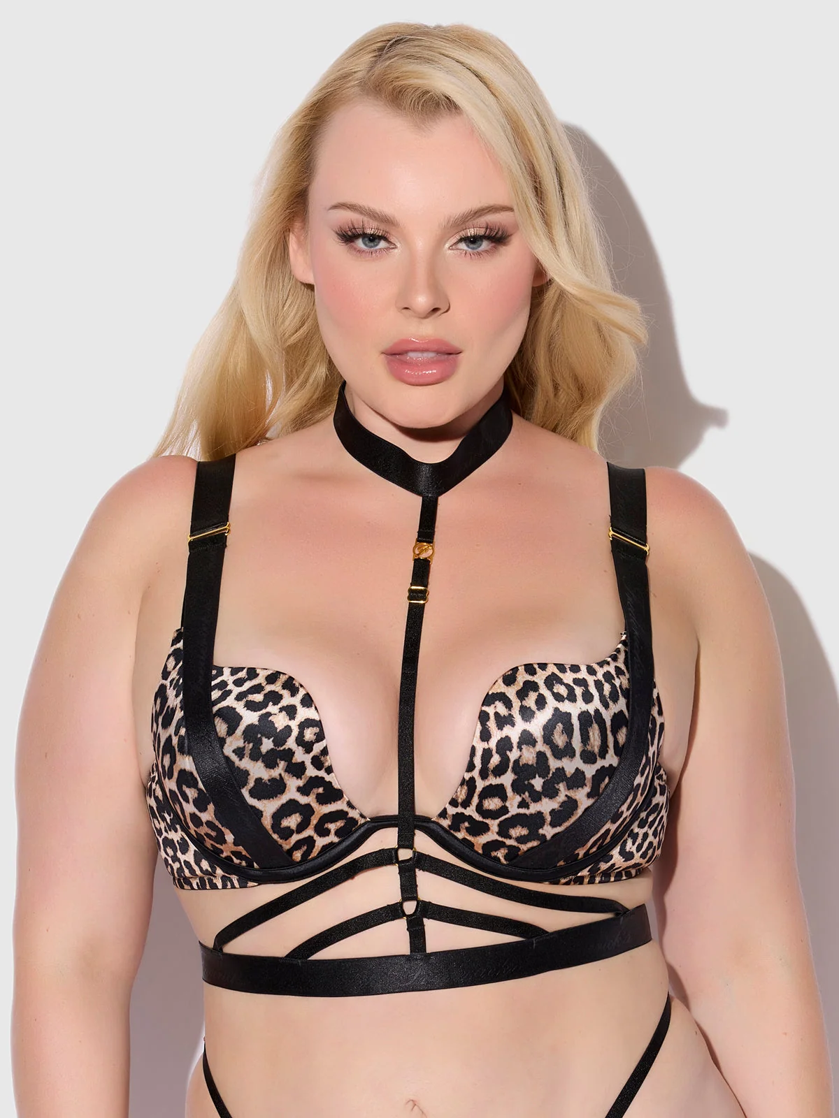 Rising Star Plunge Push Up Bustier in Petra Liquid Satin