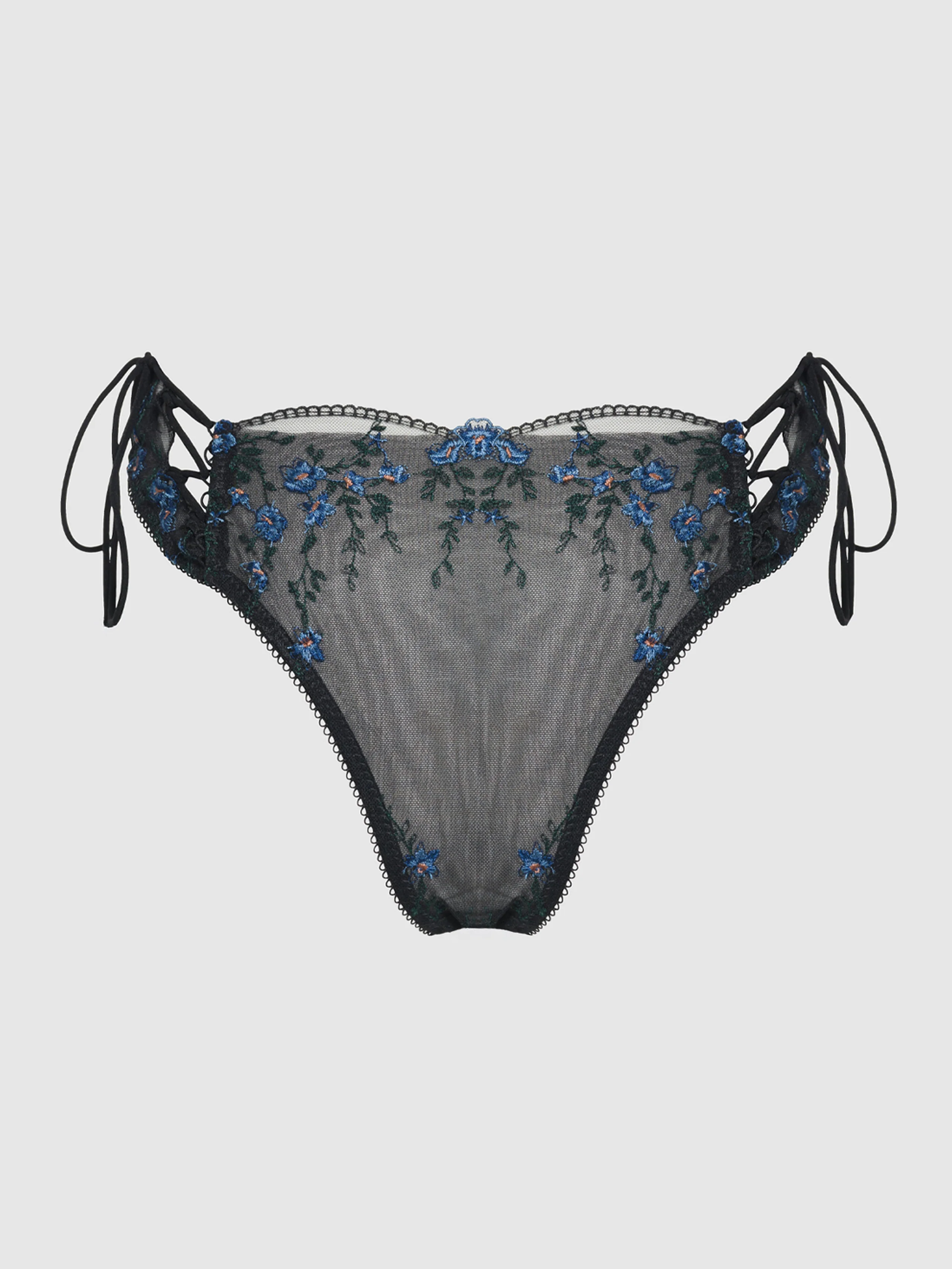Harlow Embroidered Mesh Hipster Panty in Black