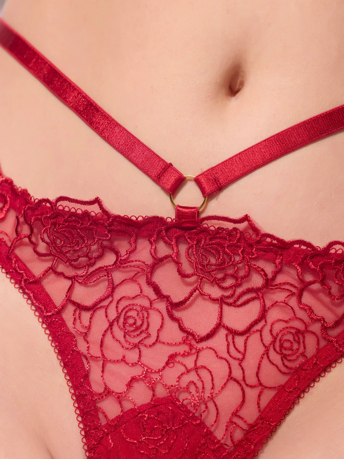 Melrose Embroidered Tanga in Crimson Red Stretch Mesh