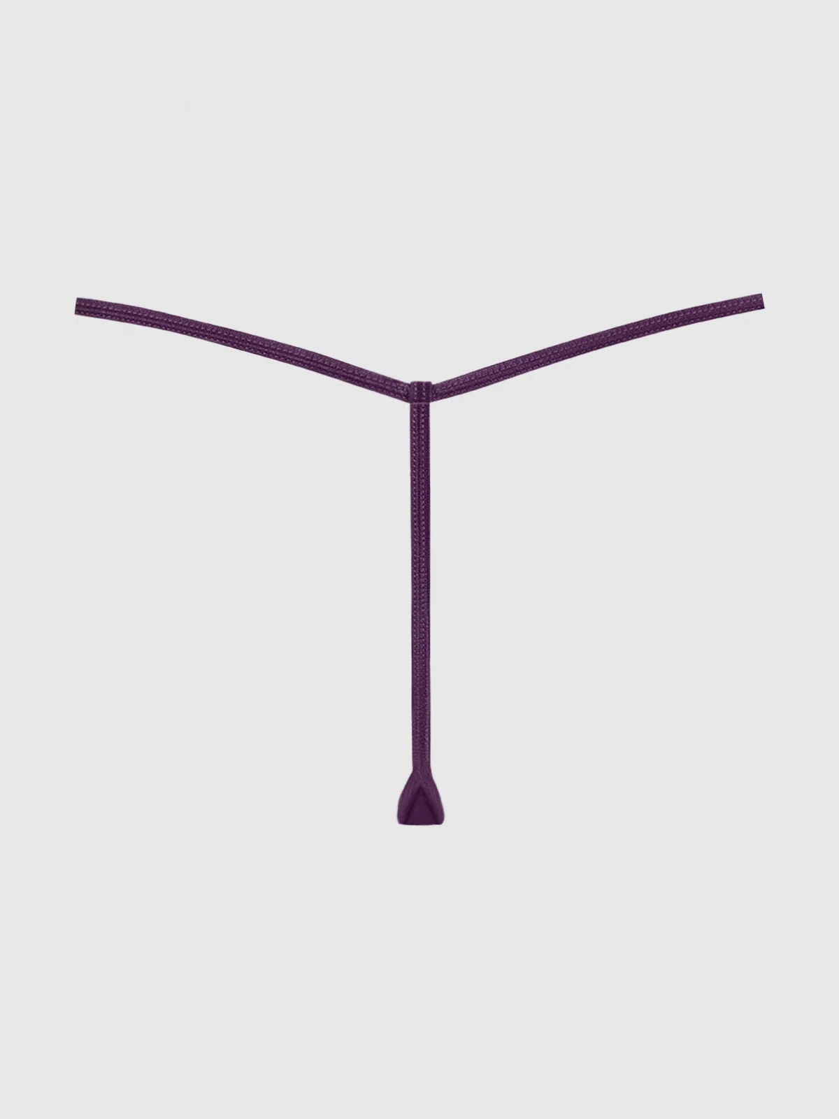 Frederick's of Hollywood Mesh G-String in Purple Shadow