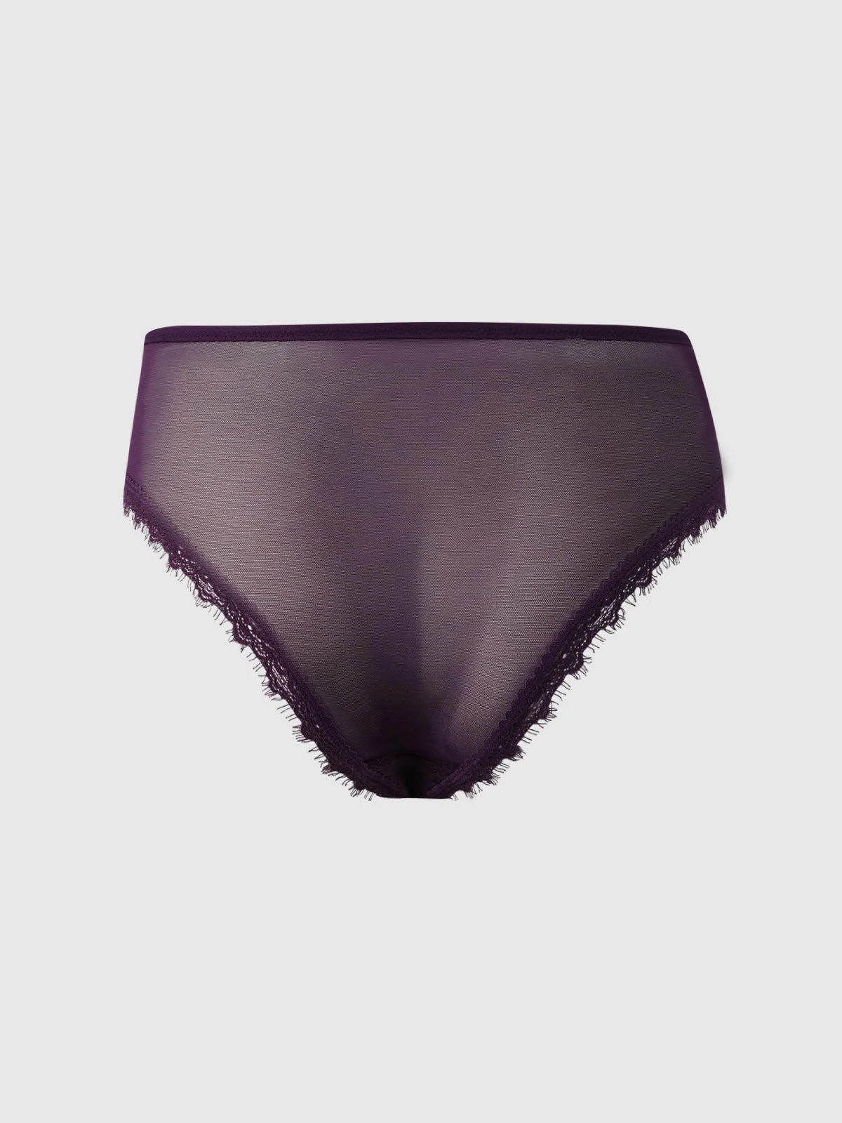 Charlotte Lace & Mesh Hipster